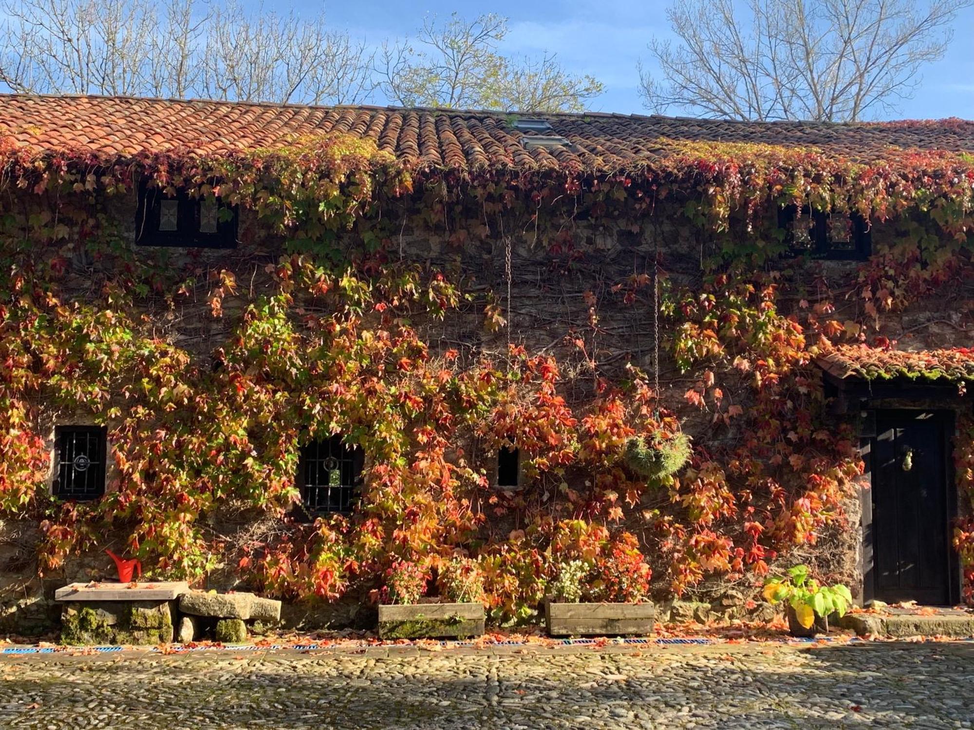 Remanso Del Rio Saja Villa Renedo De Cabuerniga Exterior photo
